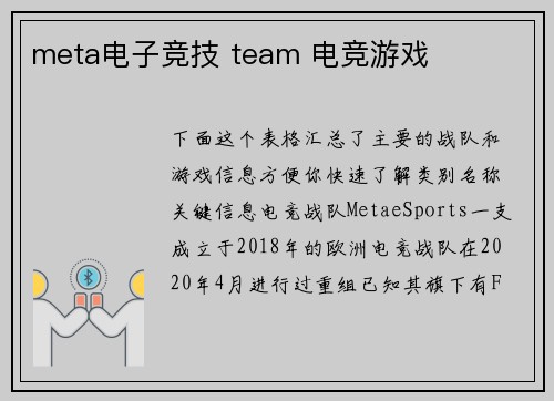 meta电子竞技 team 电竞游戏