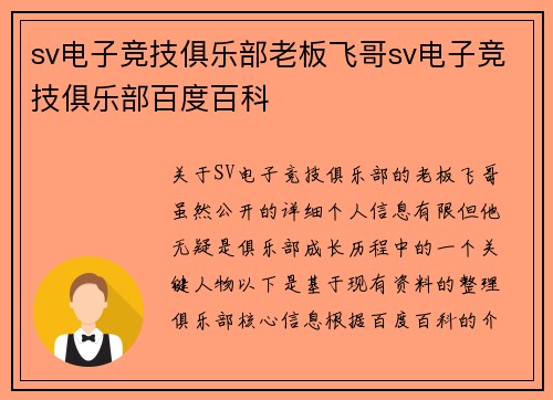 sv电子竞技俱乐部老板飞哥sv电子竞技俱乐部百度百科