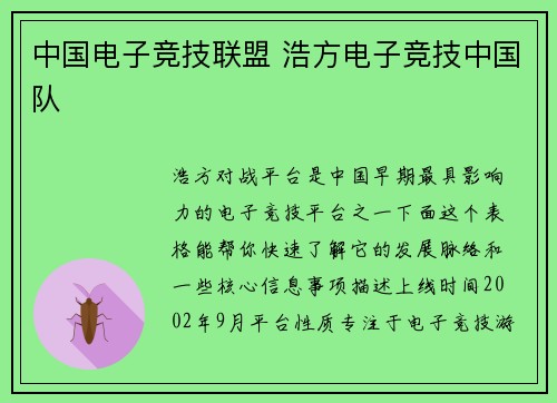 中国电子竞技联盟 浩方电子竞技中国队